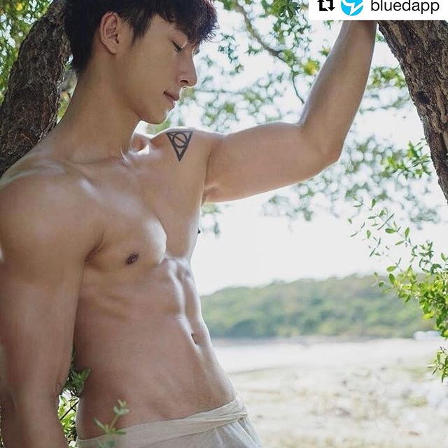 김지미