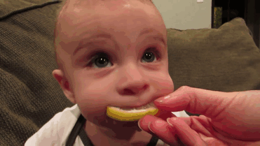 2130706433_Yl9iwCXS_8ee9307779a39553868d109252526edd67455a95.gif