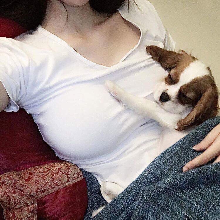어허