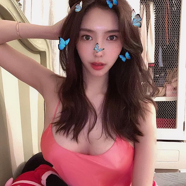 모델
