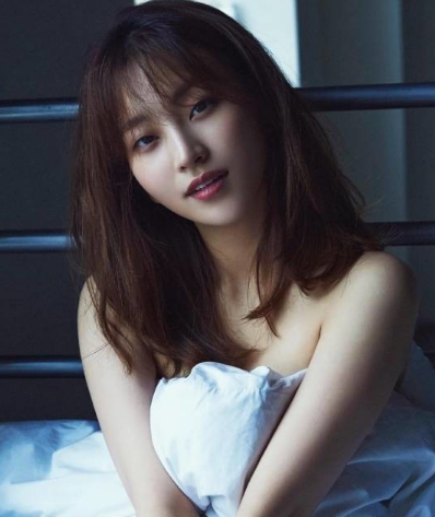 호잇