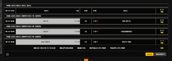 thumb-83ab9f459f59a6d35d579ac3b1888618_1718510622_8855_600x215.png