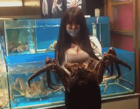 담카 (3).gif